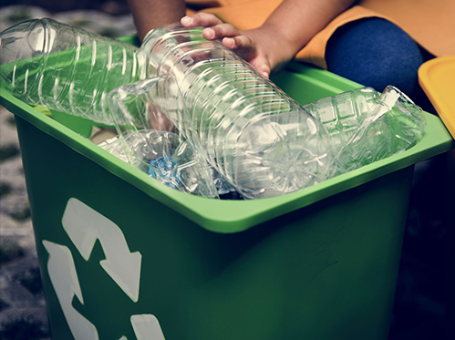 plastic bottle recycling